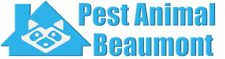 Beaumont Wildlife and Animal Removal